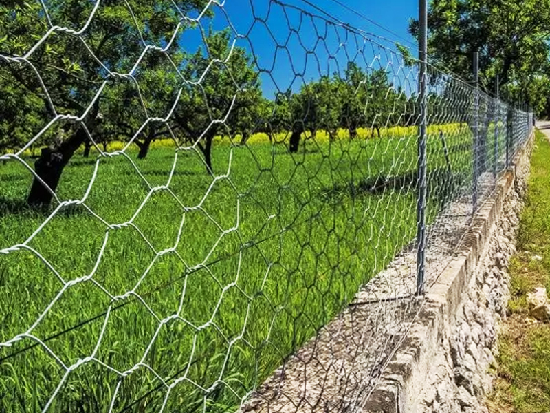 Hexagonal Wire Mesh
